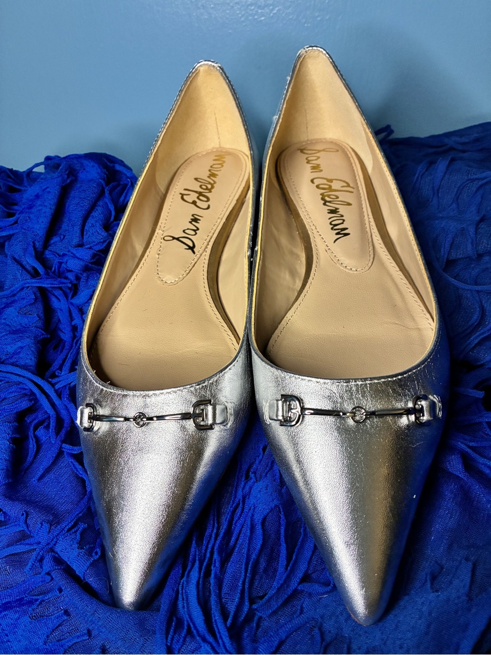 Sam Edelman Metallic Silver Pointed Toe Flats with Bit Detail